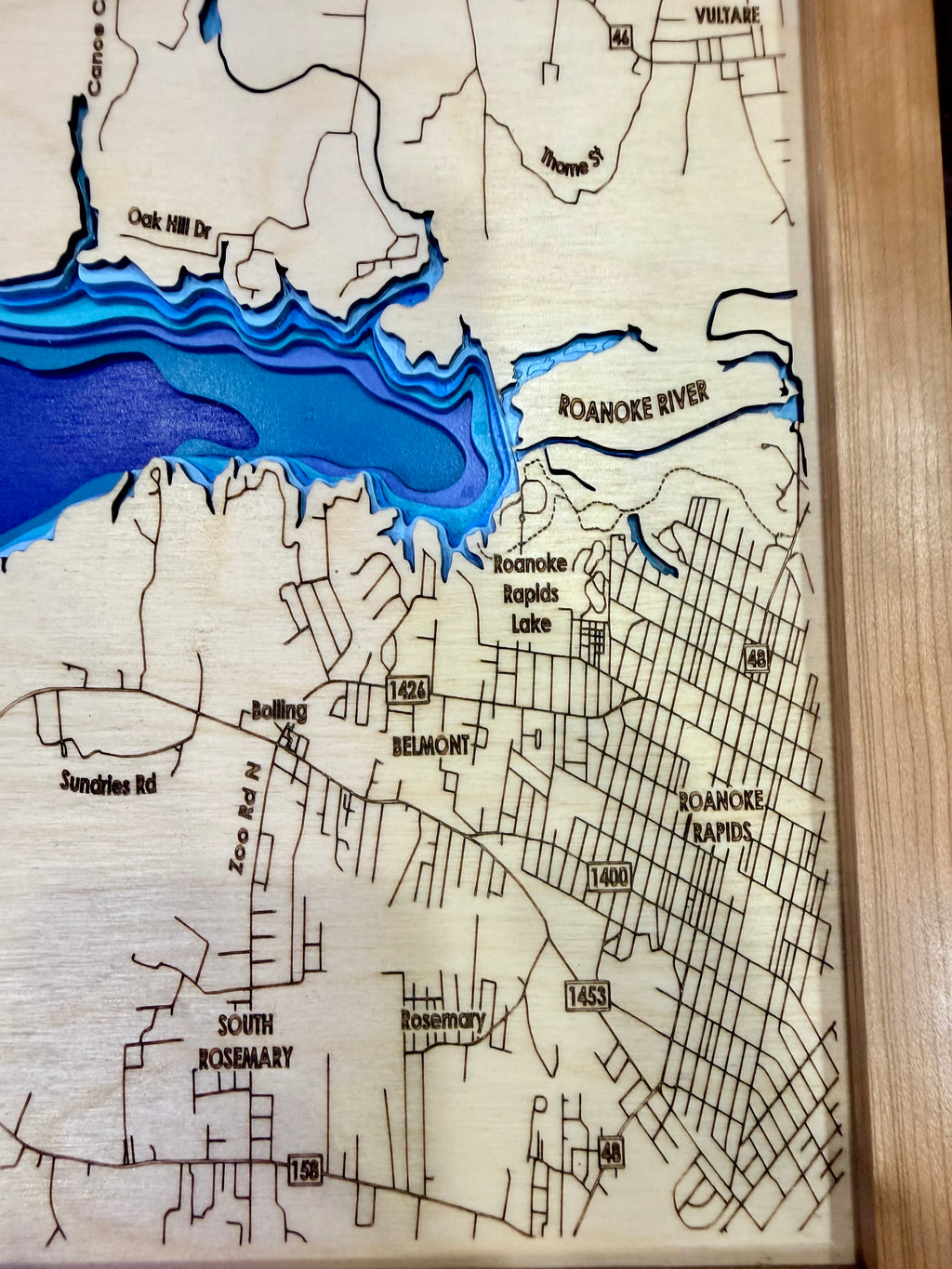 Roanoke Rapids Lake — 3D Bathymetric Map