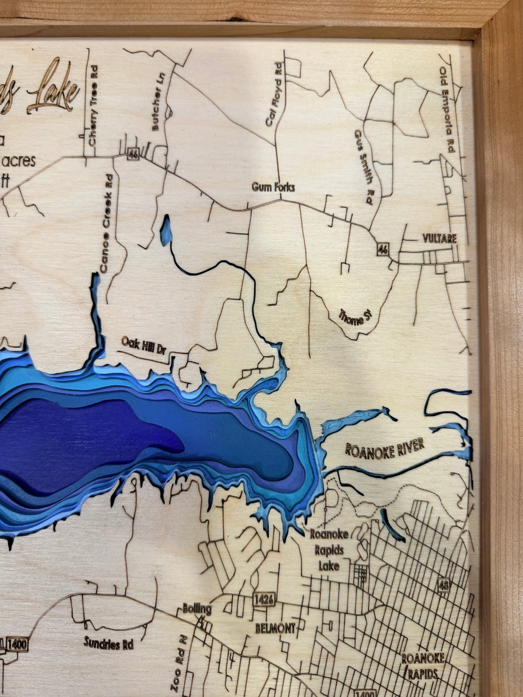 Roanoke Rapids Lake — 3D Bathymetric Map